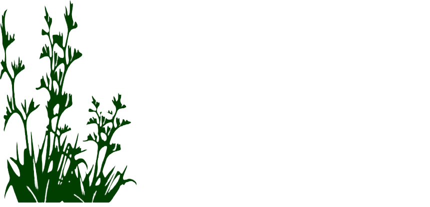 Esk Valley Natives